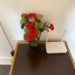Rose View Lizbona